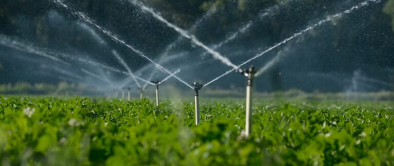 Learn how efficient irrigation technologies can improve crop yields and water conservation.