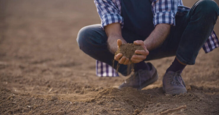 A man holding soil in his hands