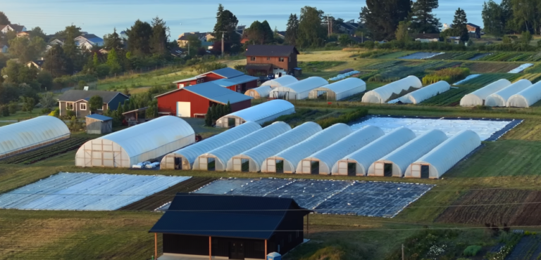 An organic vegetable farm that also incorporates other productions