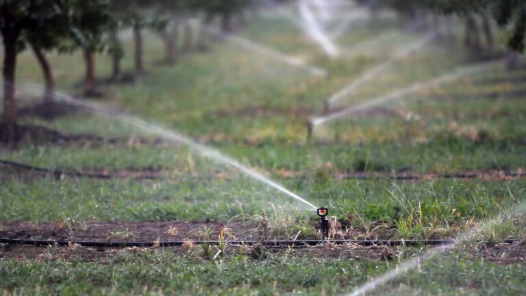 Sprinkler Irrigation System in Agriculture