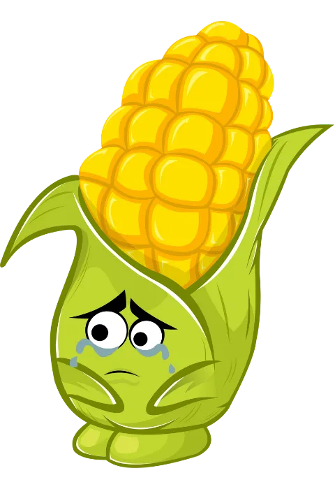 agro corn